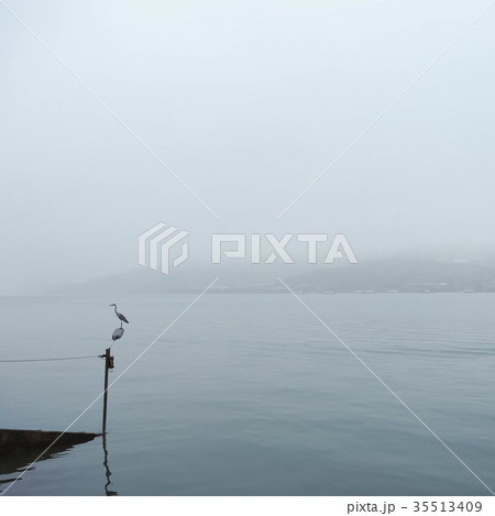 マリーナ 橋脚 桟橋 35513409