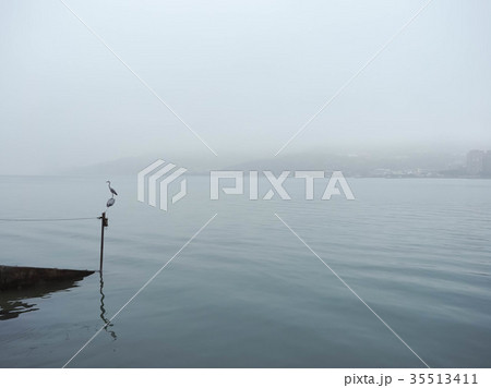 マリーナ 橋脚 桟橋 35513411