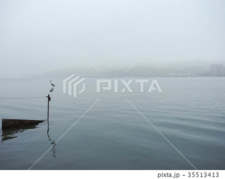 マリーナ 橋脚 桟橋 35513413