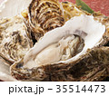 生牡蛎02 35514473