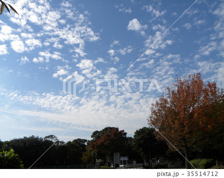 秋の谷津干潟公園の青空と白い雲 秋の谷津干潟公園の青空と白い雲 35514712