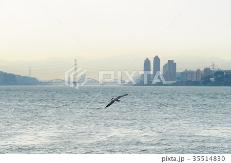 台湾 淡水 台北 35514830