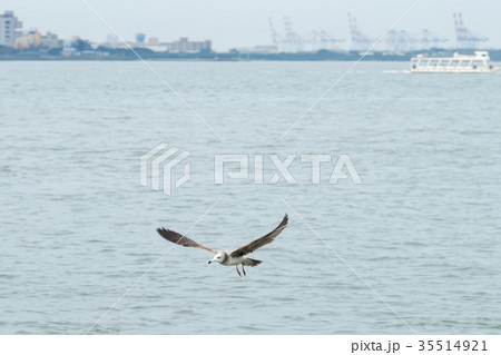 台湾 淡水 台北 35514921