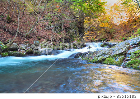 渓谷 杜鵑峡 渓谷 杜鵑峡 35515185