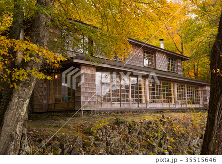 イタリア大使館別荘記念公園 湖側 イタリア大使館別荘記念公園 湖側 35515646