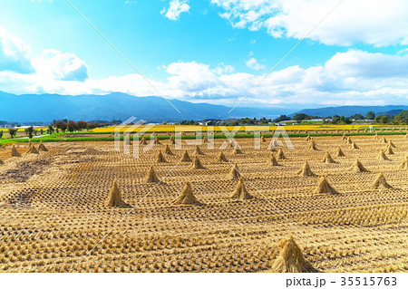 秋の風景　農村 35515763