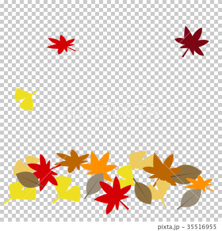 秋イメージ　落ち葉 35516955