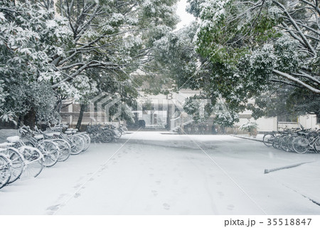 関東 大雪の記録 35518847