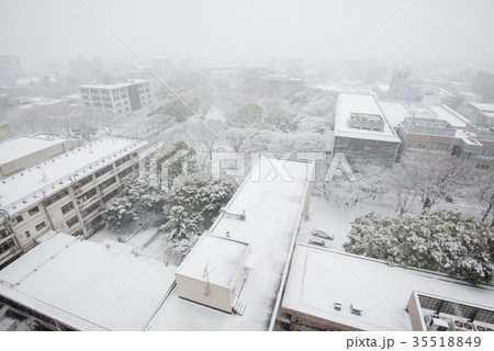 関東 大雪の記録 35518849