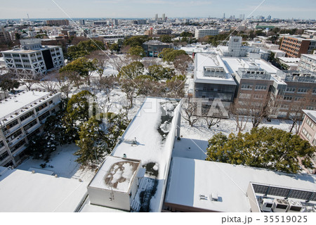 関東 大雪の記録 35519025