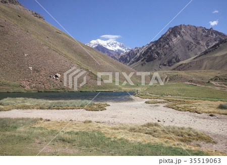 南米チリとアルゼンチン国境、高山植物の草原が広がるアンデス山脈の渓谷から南米最高峰アコンカグアを見る 南米チリとアルゼンチン国境、高山植物の草原が広がるアンデス山脈の渓谷から南米最高峰アコンカグアを見る 35519063