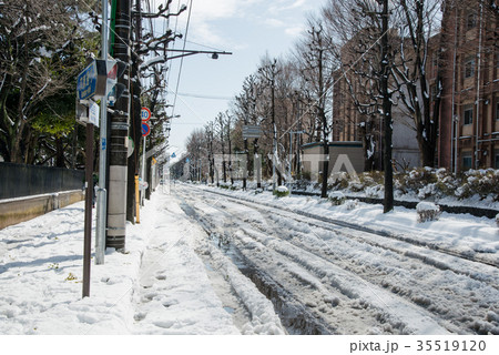 関東 大雪の記録 35519120