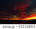 空 35519853