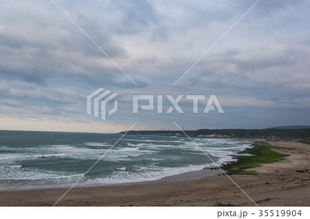 海沿い 海浜 海藻 35519904