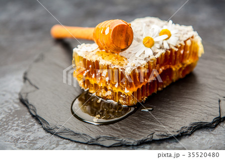 Honeycomb on white Honeycomb on white 35520480