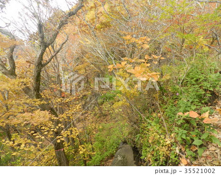 根子岳の紅葉 35521002