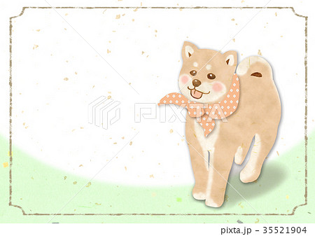 柴犬　和柄 35521904