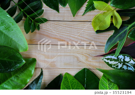 The leaves are arranged around a wooden background 35523194