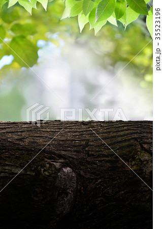 Wood and bright green leaves for background 35523196