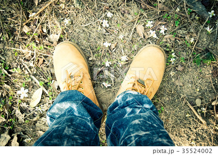 台湾 雲林 アブラギリ 35524002