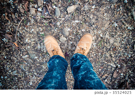 台湾 雲林 アブラギリ 35524025