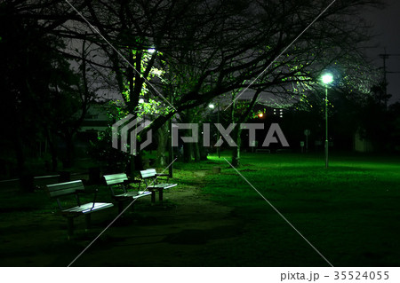 夜の公園 夜の公園 35524055
