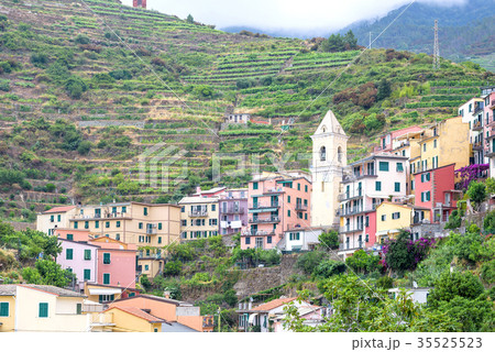 Beautiful view to Manarola city in mountains Beautiful view to Manarola city in mountains 35525523