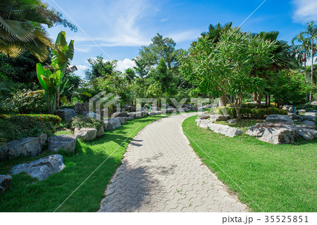 Autumn, My Son Sanctuary, Public Park Autumn, My Son Sanctuary, Public Park 35525851