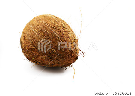 ripe coconut on the white background ripe coconut on the white background 35526012