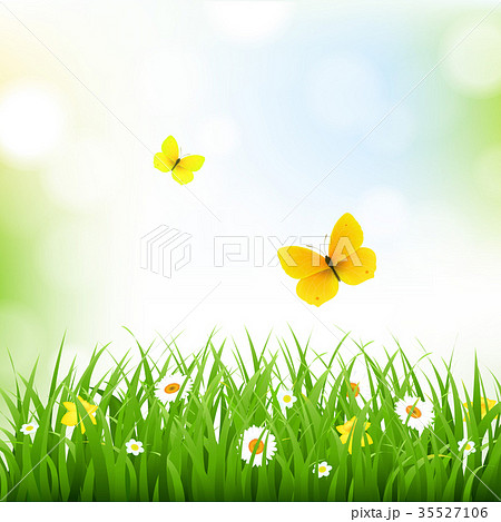 Grass Border With Nature Background Grass Border With Nature Background 35527106