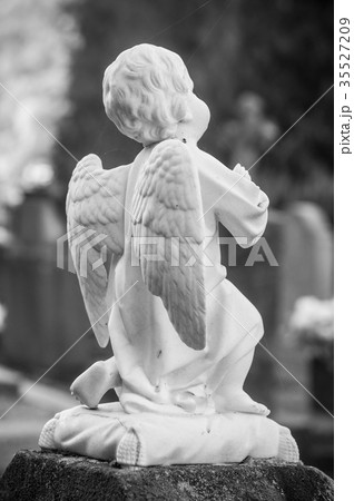 closeup of stoned angel in a cemetery 35527209