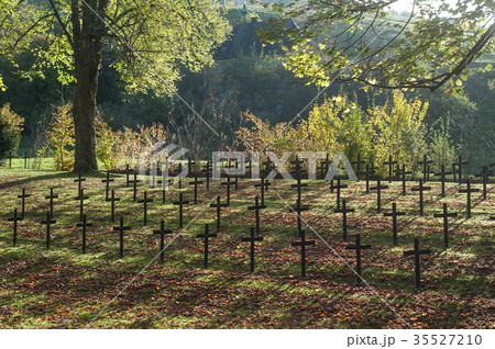 alignment of military tombs at cemetery in autumn 35527210