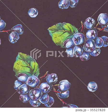 Seamless pattern chokeberry berries on black 35527820