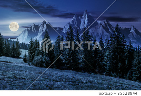forest in mountains with rocky peaks at night 35528944