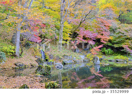 青龍の滝と紅葉 35529999