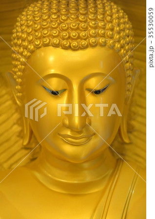 The face of Buddha 35530059
