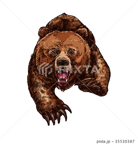 Grizzly Bear Roaring Vector Isolated Sketch Animalのイラスト素材