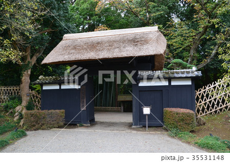 水戸偕楽園の竹林 水戸偕楽園の竹林 35531148