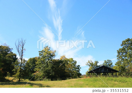秋の公園　高い空 35531552