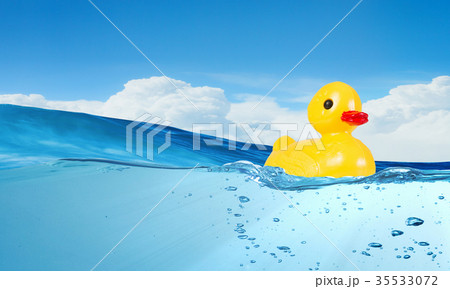 Duck toy Duck toy 35533072