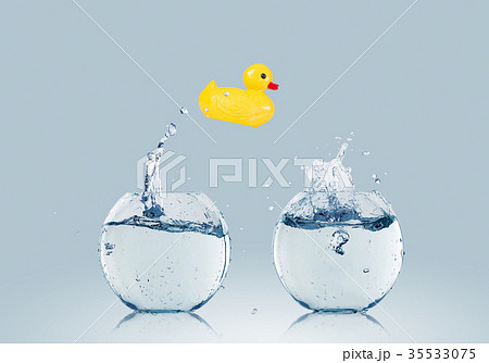 Duck toy 35533075