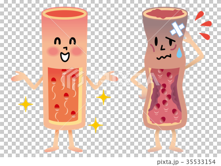 血管　健康　イラスト　 35533154
