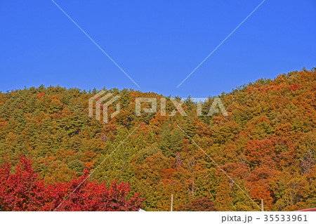 紅葉 35533961