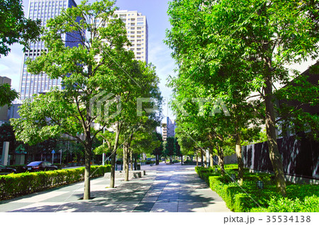 東京　木漏れ日のオフィス街 35534138