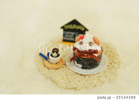 いぬケーキ　カフェ 35534399