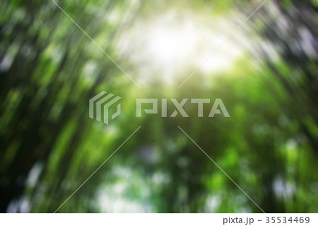 Bamboo with blurred images. 35534469