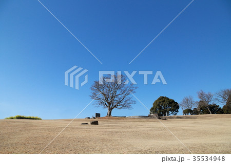 吾妻山 風景 吾妻山 風景 35534948