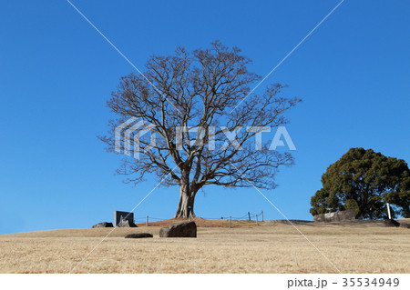 吾妻山 風景 吾妻山 風景 35534949