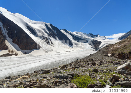View on Glacier Big Aktru. Altai Republic. Russia 35534996