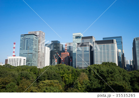 皇居東御苑から見る丸の内方面の風景 35535265